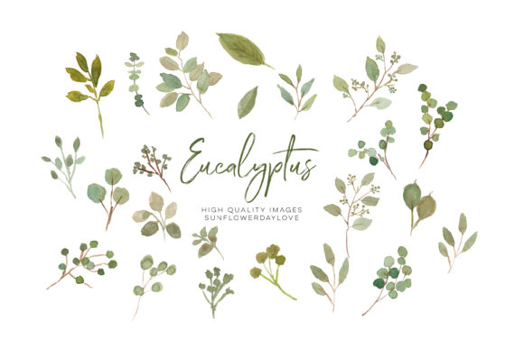 Eucalyptus Greenery Clipart, Floral: A Strategic Tool for Creative and Professional Projects