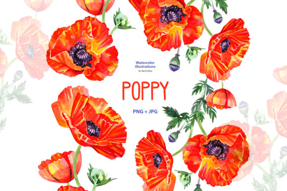 Watercolor Poppy - Floral Clipart: A Versatile and Charming Addition to Your Creative Projects